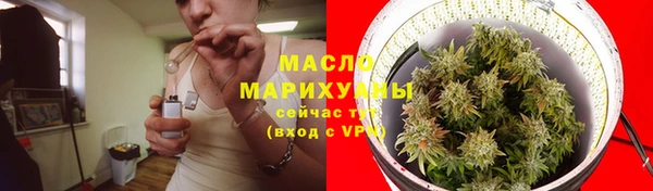 сатива Волосово