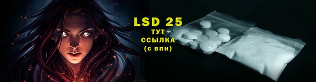 сатива Волосово