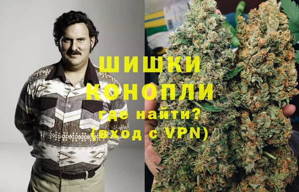 сатива Волосово