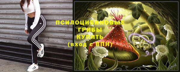 гидропоника Володарск