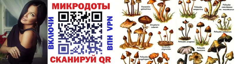 Галлюциногенные грибы Psilocybe дарнет шоп Муром